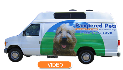 Click here to view our video!